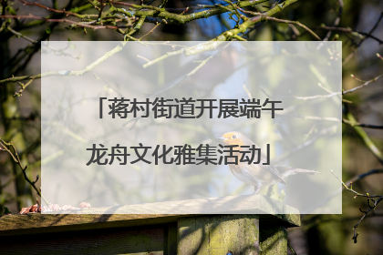 蒋村街道开展端午龙舟文化雅集活动