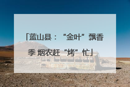 蓝山县：“金叶”飘香季 烟农赶“烤”忙