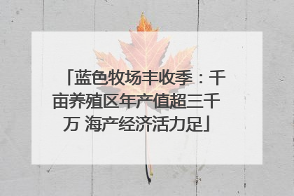 蓝色牧场丰收季：千亩养殖区年产值超三千万 海产经济活力足
