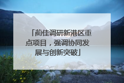 蔺佳调研新港区重点项目，强调协同发展与创新突破