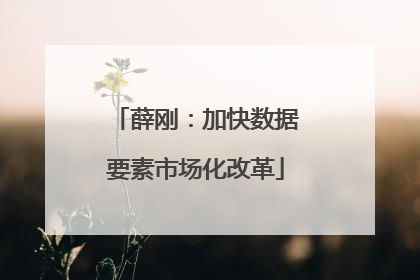 薛刚：加快数据要素市场化改革