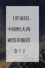 许家印、中国恒大再被签发限消令！