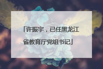 许振宇，已任黑龙江省教育厅党组书记