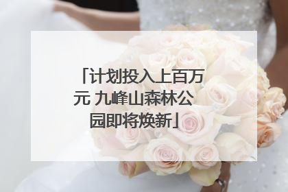 计划投入上百万元 九峰山森林公园即将焕新
