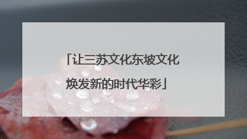 让三苏文化东坡文化焕发新的时代华彩