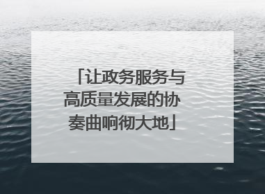 让政务服务与高质量发展的协奏曲响彻大地