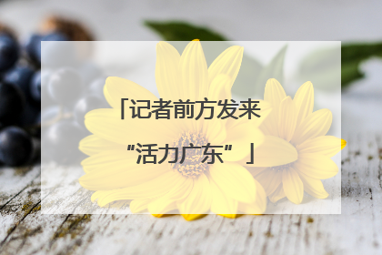 记者前方发来“活力广东”