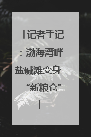 记者手记：渤海湾畔盐碱滩变身“新粮仓”