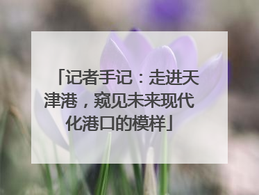 记者手记：走进天津港，窥见未来现代化港口的模样