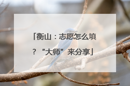 衡山：志愿怎么填？“大师”来分享