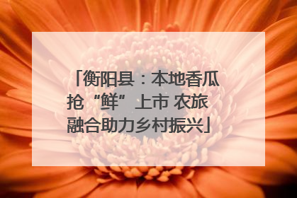 衡阳县：本地香瓜抢“鲜”上市 农旅融合助力乡村振兴
