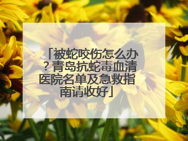 被蛇咬伤怎么办？青岛抗蛇毒血清医院名单及急救指南请收好