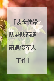 裴金佳带队赴陕西调研退役军人工作
