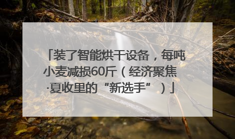 装了智能烘干设备，每吨小麦减损60斤（经济聚焦·夏收里的“新选手”）