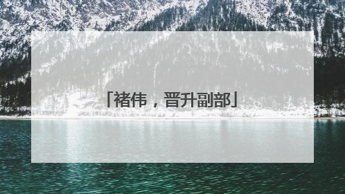 褚伟，晋升副部