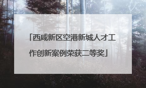 西咸新区空港新城人才工作创新案例荣获二等奖