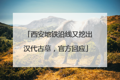 西安地铁沿线又挖出汉代古墓，官方回应