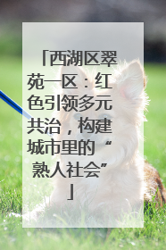 西湖区翠苑一区：红色引领多元共治，构建城市里的“熟人社会”