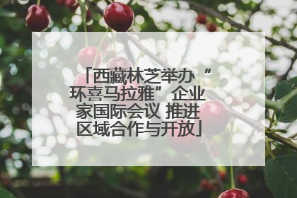西藏林芝举办“环喜马拉雅”企业家国际会议 推进区域合作与开放
