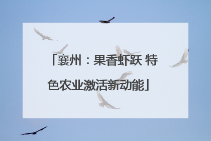 襄州：果香虾跃 特色农业激活新动能