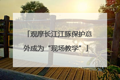 观摩长江江豚保护意外成为“现场教学”