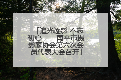 追光逐影 不忘初心——南平市摄影家协会第六次会员代表大会召开