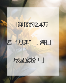 迎接约2.4万名“刀迷”，海口尽显宠粉！