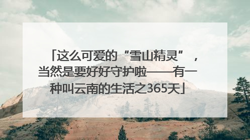 这么可爱的“雪山精灵”，当然是要好好守护啦——有一种叫云南的生活之365天
