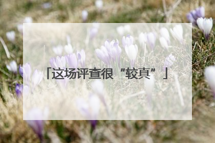这场评查很“较真”