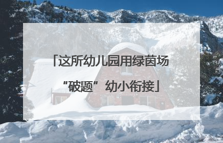 这所幼儿园用绿茵场“破题”幼小衔接
