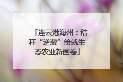 连云港海州：秸秆“逆袭”绘就生态农业新画卷