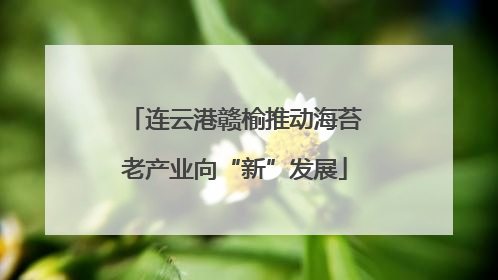 连云港赣榆推动海苔老产业向“新”发展