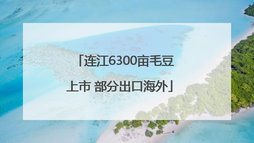 连江6300亩毛豆上市 部分出口海外