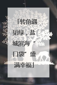 转角遇见绿，盐城滨海“口袋”盛满幸福