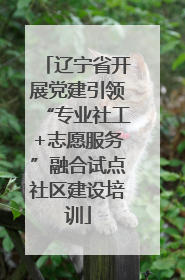 辽宁省开展党建引领“专业社工+志愿服务”融合试点社区建设培训