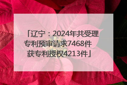 辽宁：2024年共受理专利预审请求7468件 获专利授权4213件