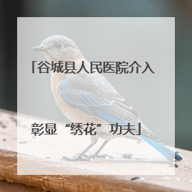 谷城县人民医院介入彰显“绣花”功夫