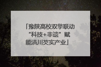 豫陕高校双擎联动 “科技+非遗”赋能潢川芡实产业
