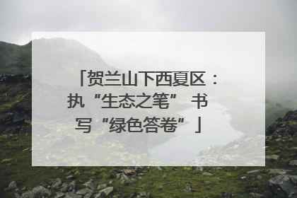 贺兰山下西夏区：执“生态之笔” 书写“绿色答卷”