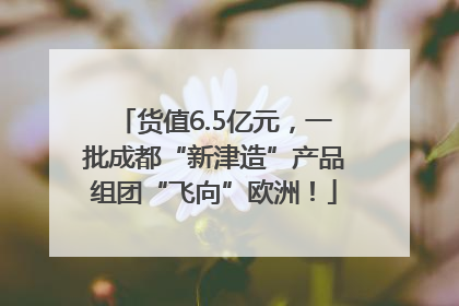 货值6.5亿元，一批成都“新津造”产品组团“飞向”欧洲！