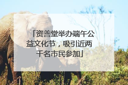 资善堂举办端午公益文化节，吸引近两千名市民参加