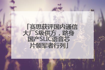 赛思获评国内通信大厂S级供方，跻身国产SLIC语音芯片领军者行列