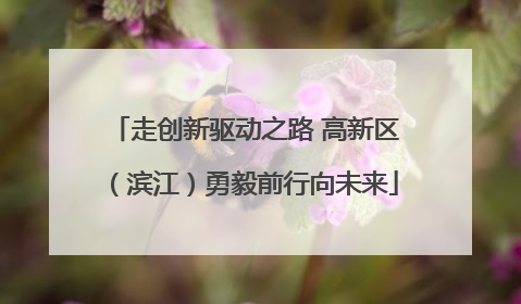 走创新驱动之路 高新区（滨江）勇毅前行向未来