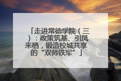 走进常德学院（三）：政策筑基、引凤来栖，锻造校城共享的“双师铁军”