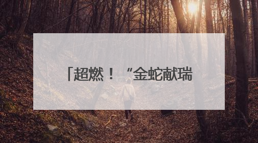 超燃！“金蛇献瑞 龙舞九州”2025年全国龙舟大联动暨“龙腾三峡·魅力巫山”龙舟邀请赛圆满落幕！