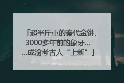 超半斤重的秦代金饼、3000多年前的象牙……成渝考古人“上新”