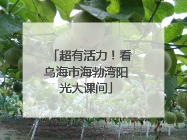 超有活力！看乌海市海勃湾阳光大课间