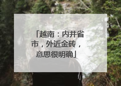 越南：内并省市，外近金砖，意思很明确