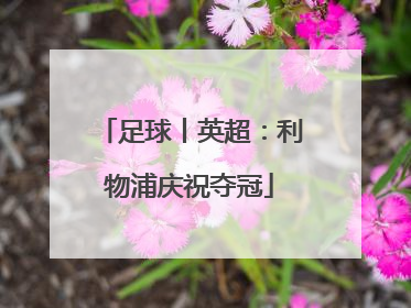 足球丨英超：利物浦庆祝夺冠
