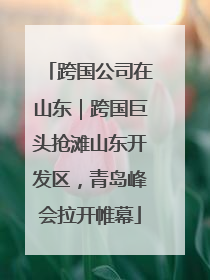 跨国公司在山东｜跨国巨头抢滩山东开发区，青岛峰会拉开帷幕
